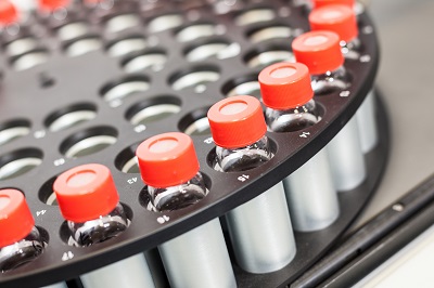 Hamilton1_zm Hamilton1_zm