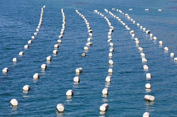 Fotolia_36009700_M Fotolia_36009700_M