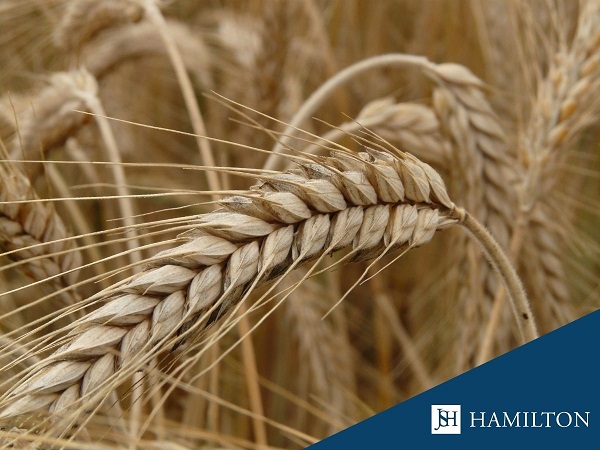 Badania �ywnosci szablon post poziom(19) (002)