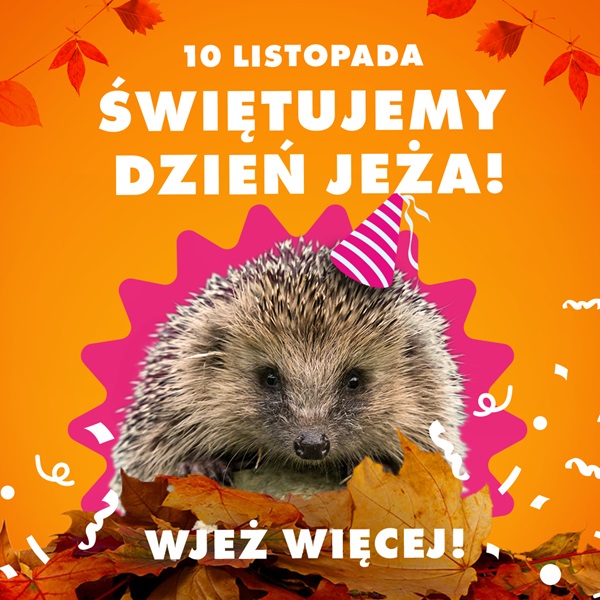 Informacja prasowa Je�yki_10_listopada